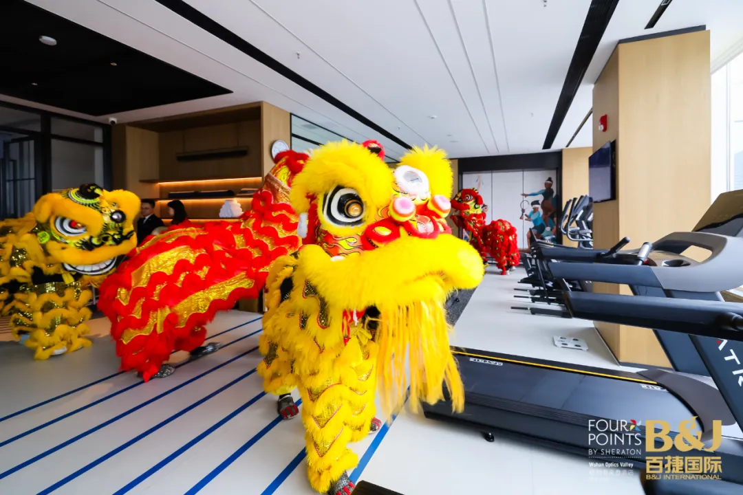 图片36.png 图片36.png