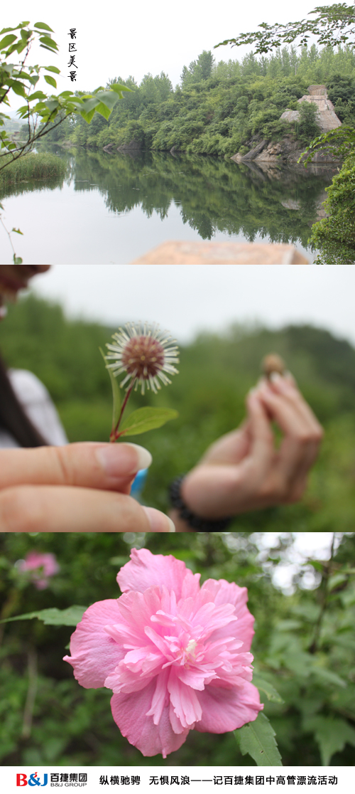 新奥门中特钢49049