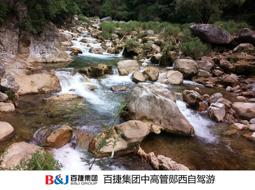新奥门中特钢49049
